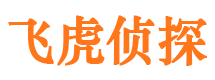 吕梁情人调查